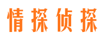 灵山市调查公司